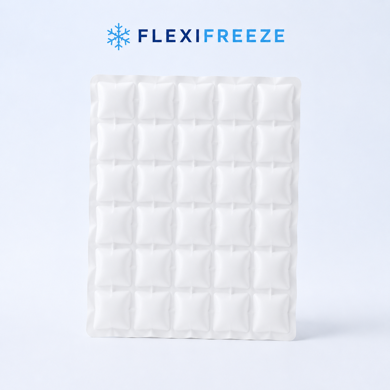 FlexiFreeze ice sheet